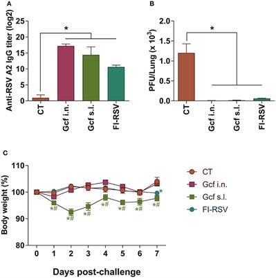 Sublingual Immunization With an RSV G Glycoprotein Fragment Primes IL-17-Mediated Immunopathology Upon Respiratory Syncytial Virus Infection